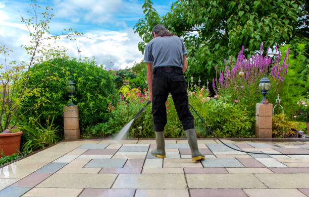 Animal Enclosure Cleaning in Noyack, NY